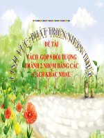 Bài giảng điện tử mầm non lớp Lá đề tài Phát triển nhận thức: Tách gộp 9 đối tượng thành 2 nhóm bằng các cách khác nhau
