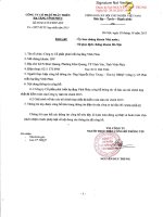 Báo cáo tài chính hợp nhất năm 2015 (đã kiểm toán) - Công ty Cổ phần Phát triển Hạ tầng Vĩnh Phúc