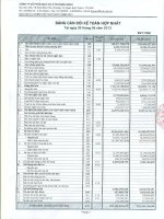 Báo cáo tài chính hợp nhất quý 2 năm 2012 - Công ty Cổ phần Dịch vụ Ô tô Hàng Xanh