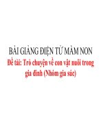 Bài giảng điện tử mầm non lớp Lá đề tài Trò chuyện về con vật nuôi trong gia đình (Nhóm gia súc)