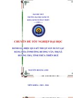 Đánh giá hiệu quả kỹ thuật sản xuất lạc hàng hóa ở phường hương vân, thị xã hương trà, tỉnh thừa thiên huế