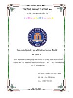 Lựa chọn một doanh nghiệp bán lẻ điện tử (trong nước hoặc quốc tế) và phân tích các phối thức bán lẻ điện tử (4ps, 7cs   ) của doanh nghiệp đó và cho nhận xét, liên hệ mekong com