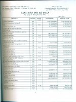 Báo cáo tài chính công ty mẹ quý 1 năm 2013 - Công ty Cổ phần Phát triển Hạ tầng Kỹ thuật