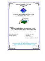 Đại diện trong quan hệ pháp luật dân sự VN