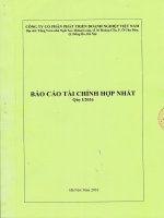 Báo cáo tài chính hợp nhất quý 1 năm 2016 - Công ty Cổ phần Đầu tư và Phát triển Doanh nghiệp Việt Nam