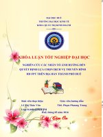 Nghiên cứu các nhân tố ảnh hưởng đến sự lựa chọn dịch vụ truyền hình HD FPT tại địa bàn thành phố huế