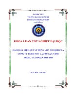 ĐÁNH GIÁ HIỆU QUẢ sử DỤNG vốn cố ĐỊNH của CÔNG TY TNHH MTV CAO SU lộc NINH TRONG GIAI đoạn 2013  2015