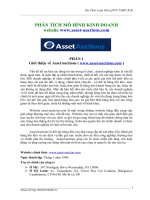 PHÂN TÍCH mô HÌNH KINH DOANH website www asset auctions com
