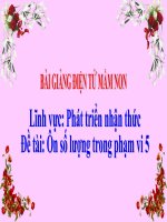 Bài giảng điện tử mầm non lớp Lá đề tài PTNT – Ôn số lượng trong phạm vi 5