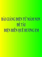 Bài giảng điện tử mầm non lớp Lá đề tài Điện Biên quê hương em