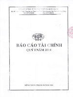 Báo cáo tài chính quý 1 năm 2014 - Công ty Cổ phần Đầu tư và Phát triển Đa Quốc Gia I.D.I