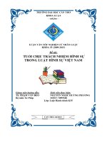 Tuổi chịu trách nhiệm hình sự trong luật hình sự VN