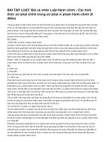 Bài cá nhân luật hành chính   các hình thức xử phạt chính trong xử phạt vi phạm hành chính (8 điểm)