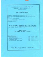 Báo cáo tài chính công ty mẹ quý 4 năm 2015 - Công ty Cổ phần Phát triển Hạ tầng Vĩnh Phúc