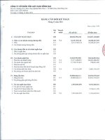 Báo cáo tài chính quý 4 năm 2010 - Công ty Cổ phần Tấm lợp Vật liệu xây dựng Đồng Nai