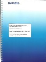 Báo cáo tài chính quý 2 năm 2013 (đã soát xét) - Công ty Cổ phần Khoáng sản và Xây dựng Bình Dương