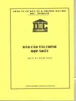 Báo cáo tài chính hợp nhất quý 1 năm 2016 - Công ty Cổ phần Đầu tư và Thương mại DIC
