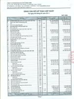 Báo cáo tài chính hợp nhất quý 3 năm 2011 - Công ty Cổ phần Dịch vụ Ô tô Hàng Xanh