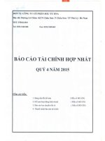 Báo cáo tài chính hợp nhất quý 4 năm 2015 - Công ty cổ phần Đầu tư DNA