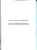 Báo cáo tài chính năm 2014 (đã kiểm toán) - Công ty Cổ phần Bao bì PP Bình Dương