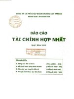 Báo cáo tài chính hợp nhất quý 1 năm 2012 - Công ty Cổ phần Đầu tư và Phát triển KSH