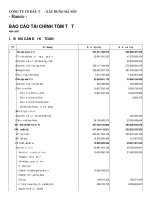 Báo cáo tài chính năm 2007 (đã kiểm toán) - Công ty Cổ phần Đầu tư - Xây dựng Hà Nội