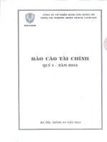 Báo cáo tài chính quý 1 năm 2012 - Công ty Cổ phần Hàng hải Đông Đô