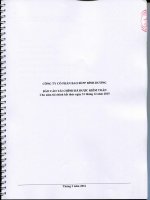 Báo cáo tài chính năm 2015 (đã kiểm toán) - Công ty Cổ phần Bao bì PP Bình Dương