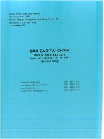 Báo cáo tài chính công ty mẹ quý 4 năm 2015 - Công ty Cổ phần Tập đoàn Hoa Sen