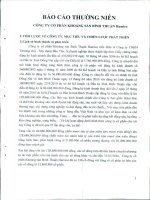 Báo cáo thường niên năm 2010 - Công ty Cổ phần Công nghiệp Khoáng sản Bình Thuận