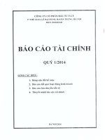 Báo cáo tài chính quý 1 năm 2014 - Công ty cổ phần Đầu tư F.I.T