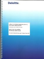 Báo cáo tài chính năm 2012 (đã kiểm toán) - Công ty Cổ phần Khoáng sản và Xây dựng Bình Dương