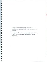 Báo cáo tài chính công ty mẹ năm 2010 (đã kiểm toán) - Công ty Cổ phần Ngoại thương và Phát triển Đầu tư Thành phố Hồ Chí Minh