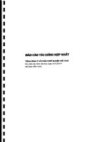 Báo cáo tài chính hợp nhất năm 2014 (đã kiểm toán) - Tổng Công ty cổ phần Thiết bị điện Việt Nam