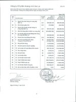 Báo cáo KQKD quý 2 năm 2010 - Công ty Cổ phần Hoàng Anh Gia Lai