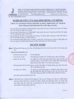 Nghị quyết Đại hội cổ đông bất thường - Công ty Cổ phần Ngoại thương và Phát triển Đầu tư Thành phố Hồ Chí Minh