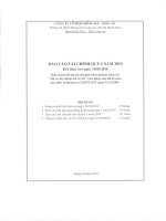 Báo cáo tài chính quý 1 năm 2010 - Công ty Cổ phần Hồng Hà Long An