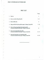 Báo cáo tài chính hợp nhất năm 2010 (đã kiểm toán) - Công ty Cổ phần Dịch vụ Ô tô Hàng Xanh