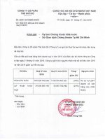 Báo cáo tài chính công ty mẹ quý 4 năm 2015 - Công ty cổ phần Thế giới số