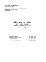 Báo cáo tài chính công ty mẹ quý 2 năm 2014 - Công ty Cổ phần Tập đoàn Hoa Sen