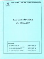 Báo cáo tài chính công ty mẹ quý 3 năm 2014 - Công ty cổ phần Thương mại và Khai thác Khoáng sản Dương Hiếu