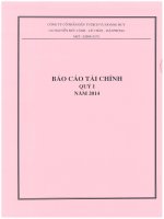 Báo cáo tài chính quý 1 năm 2014 - Công ty Cổ phần Đầu tư Dịch vụ Hoàng Huy