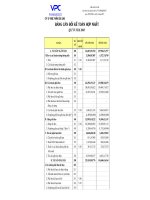 Báo cáo tài chính hợp nhất quý 4 năm 2008 - Công ty Cổ phần Dược phẩm Cửu Long