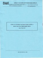 Báo cáo tài chính hợp nhất quý 1 năm 2015 - Công ty Cổ phần Tập đoàn Nhựa Đông Á