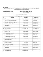 Báo cáo tài chính quý 1 năm 2008 - Công ty Cổ phần Sữa Hà Nội