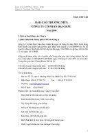 Báo cáo thường niên năm 2008 - Công ty Cổ phần Tập đoàn Đại Châu