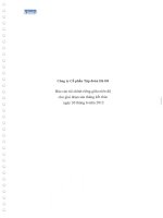 Báo cáo tài chính công ty mẹ quý 2 năm 2012 (đã soát xét) - Công ty Cổ phần Tập đoàn Hà Đô