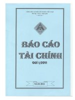 Báo cáo tài chính quý 1 năm 2011 - Công ty Cổ phần Đầu tư Xây dựng Hồng Phát