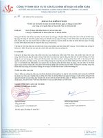 Báo cáo tài chính năm 2010 (đã kiểm toán) - Công ty cổ phần Đầu tư Phát triển nhà và Đô thị HUD 6