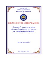 Nâng cao năng lực cạnh tranh của công ty xăng dầu nam tây nguyên tại tỉnh đăk lăk và đăk nông